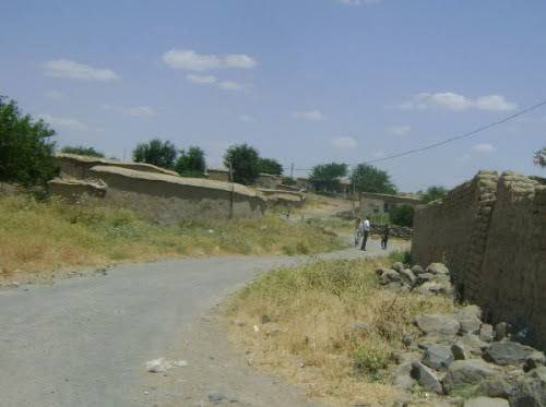 مجهولون يغتالون شابا في محافظة...