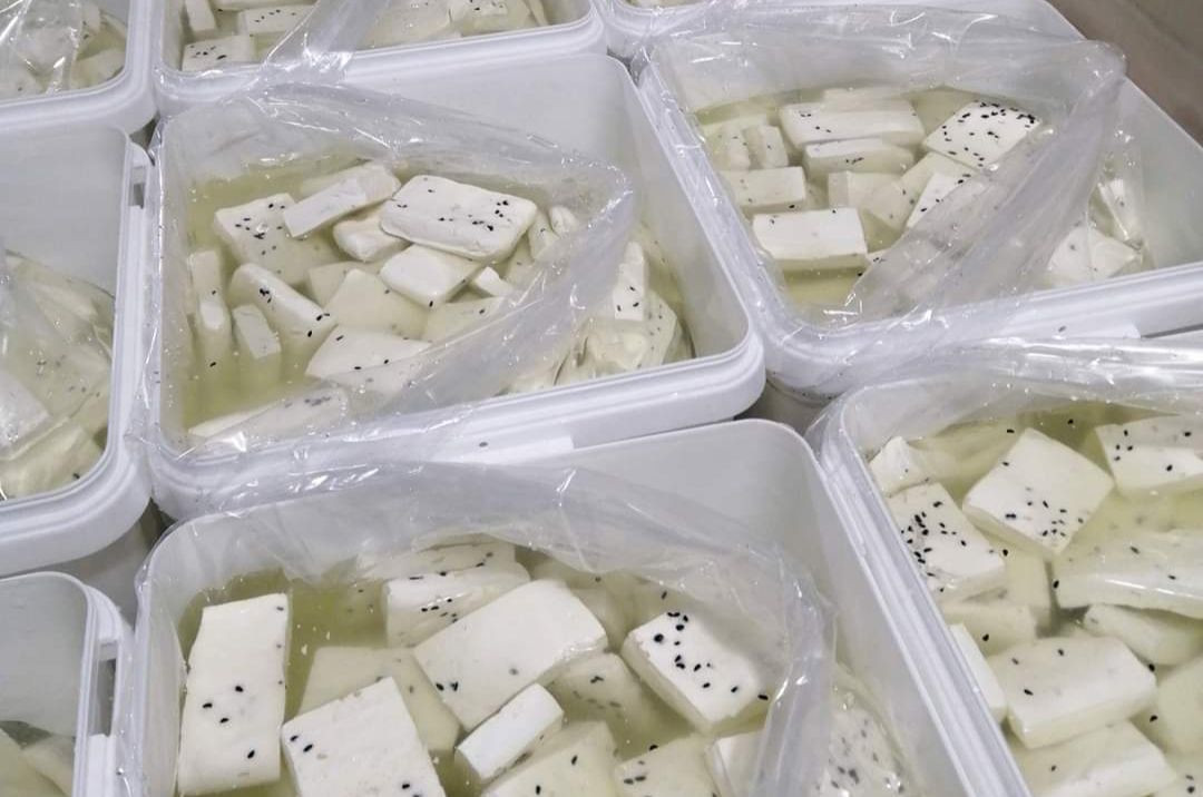 معامل إنتاج اللبن والحليب باتت...