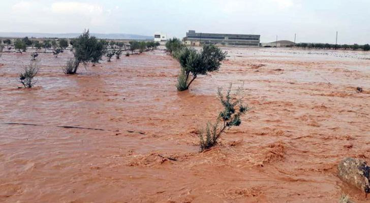 للمرة الأولى منذ سنوات.. أمطار...
