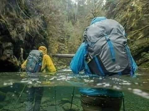 نجاة سوري من الموت بأعجوبة بعد...