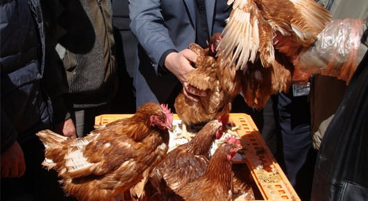 قرارات "حكومية" تؤدي لتراجع تر...