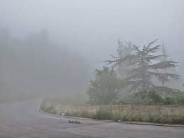 طقس ضبابي صباحا.. تعرف إلى حال...