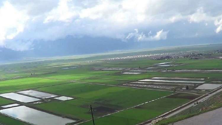 الهطولات المطرية تبشر بموسم زا...