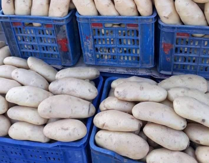 تدني أسعار البطاطا في الأسواق...