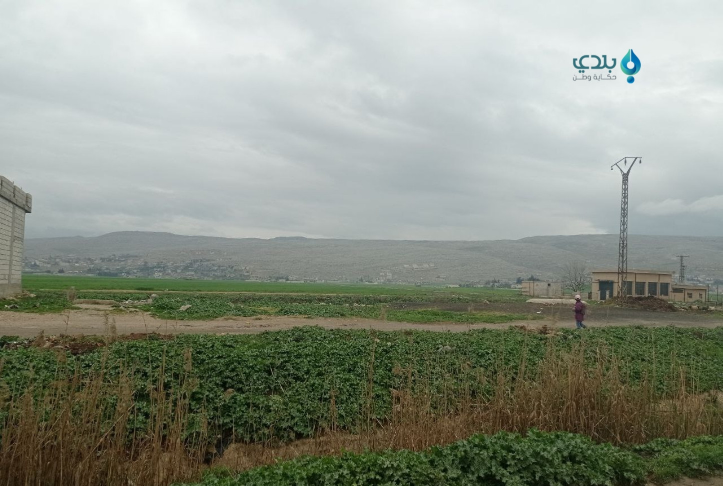 منخفض جوي في سوريا... تعرف إلى...