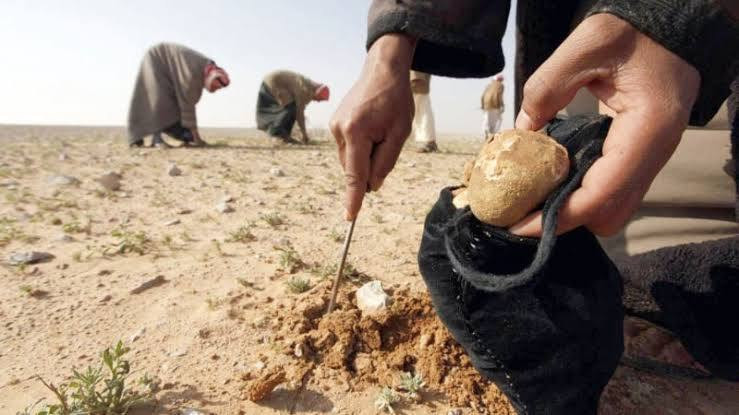 انفـجاريودي بحياة شاب شرق دير...