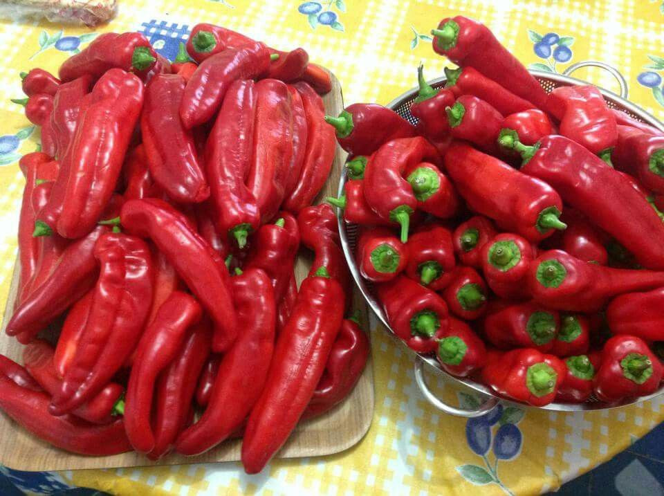 أسعار الفليفلة في حلب تقفز 200...