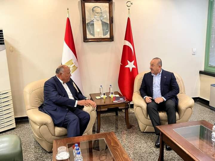 وزير الخارجية المصري: يتوجب إي...