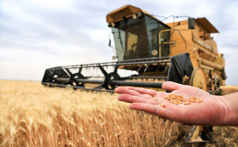 "وزيرة اﻻقتصاد" السابقة تهاجم...