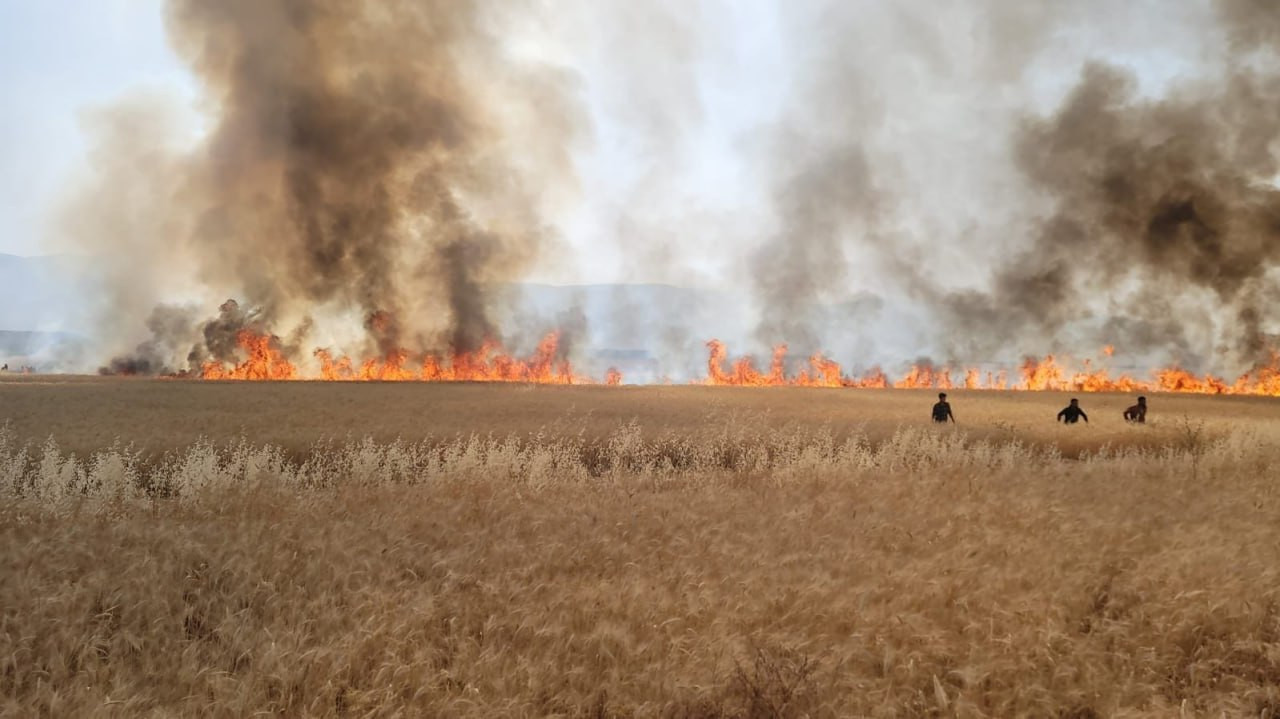 حريق يلتهم عشرات الدونمات الزر...