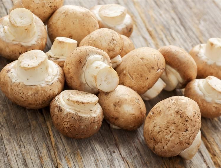 "الفطر" يتحول إلى "لحم الفقراء...