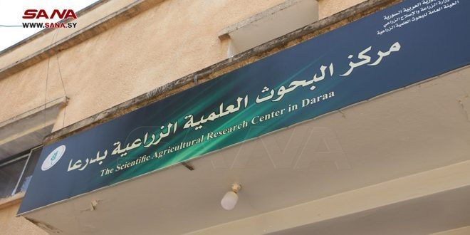 تراجع زراعة البقوليات في درعا