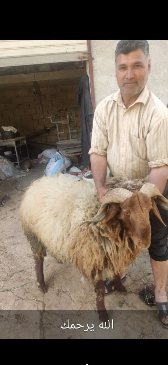 مقتل شخص على يد أخيه غربي إدلب