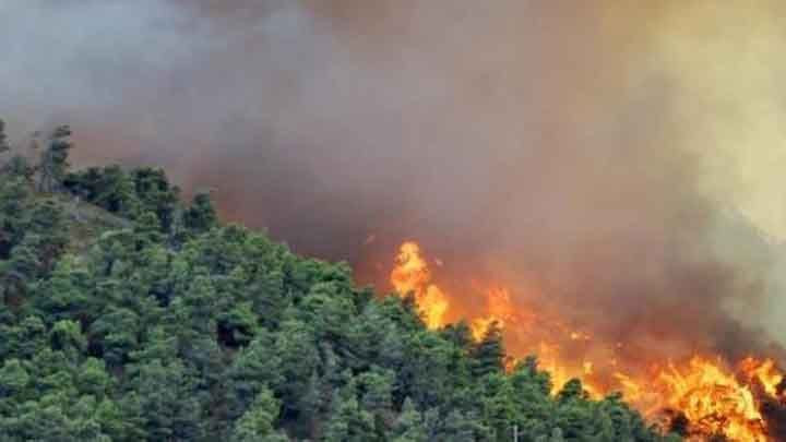 "زراعة النظام" تُحصي المساحات...