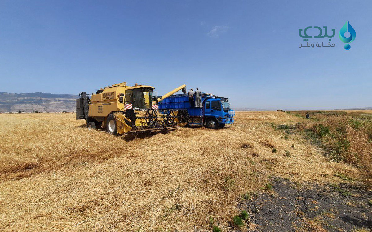 سوريا.. "اتحاد الفلاحين" يكشف...