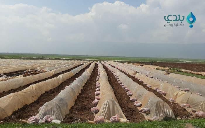 التغيرات المناخية توجه ضربة قا...