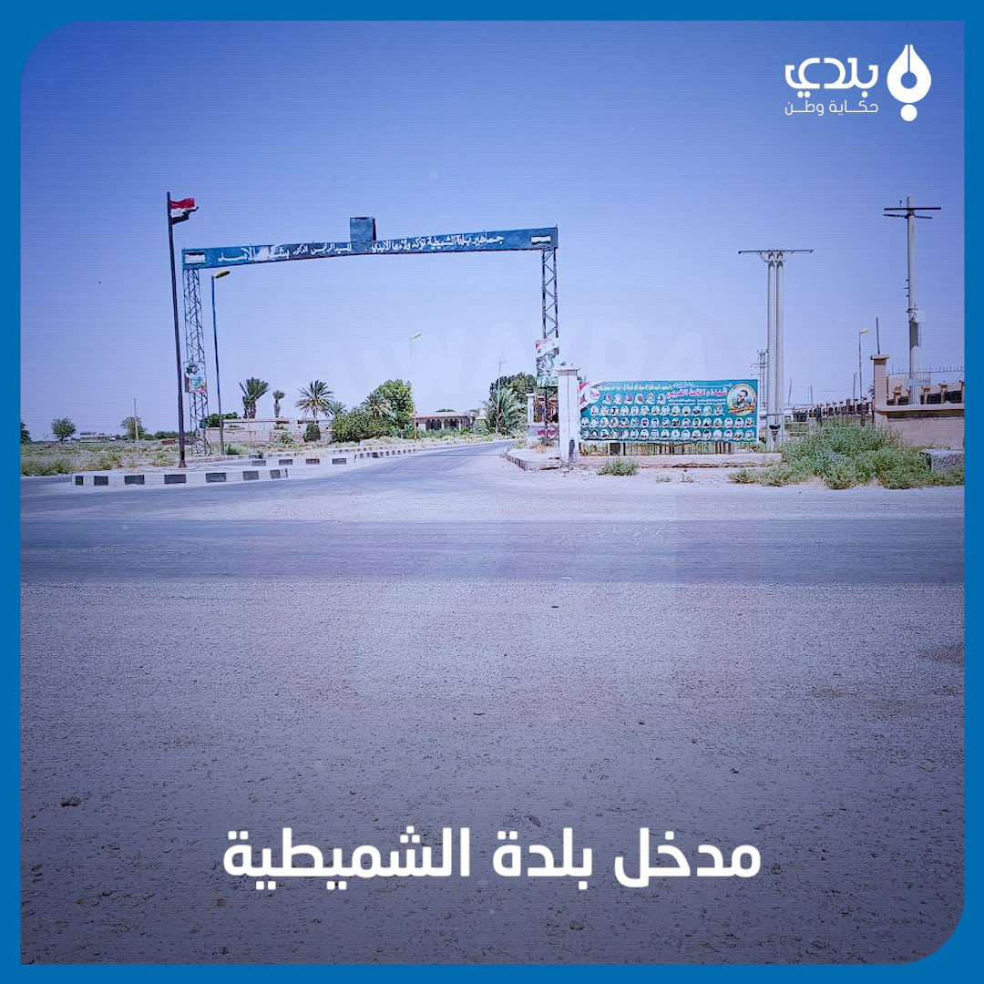 تشكيل عسكري إيراني جديد في دير...