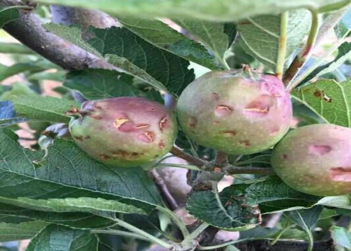 بذريعة "الروتين".. تأخر صرف تع...