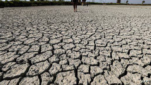 دراسة تكشف أسباب الجفاف في سور...
