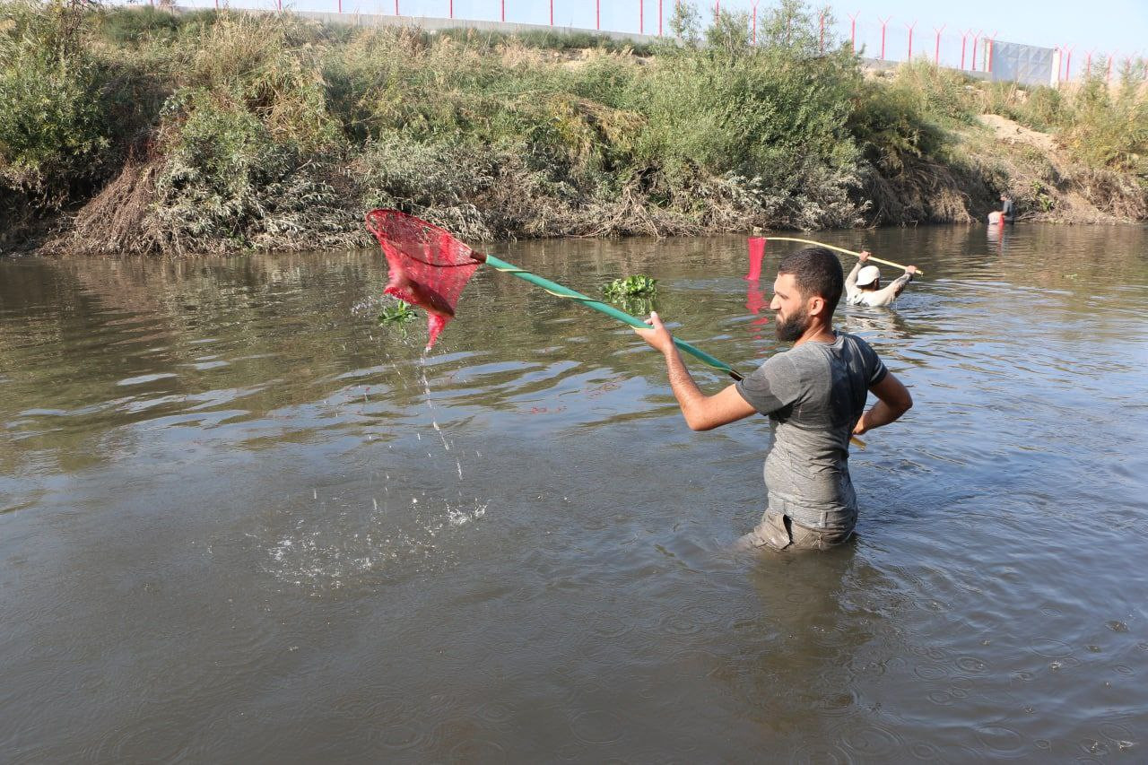 نفوق آلاف الأسماك في نهر العاص...