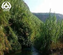 تفاصيل الاشتباكات في مدينة نوى...