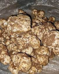 لماذا منع الأهالي  في البوكمال...