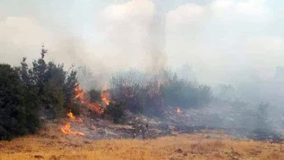 خمسون حريقا في السويداء خلال أ...