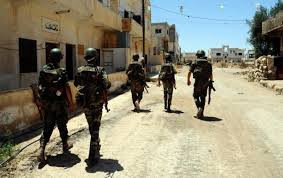 حملة دهم وتفتيش في قرية بسيمة...