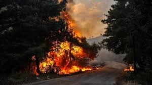 اندلاع حريق ضخم في وادي النضار...