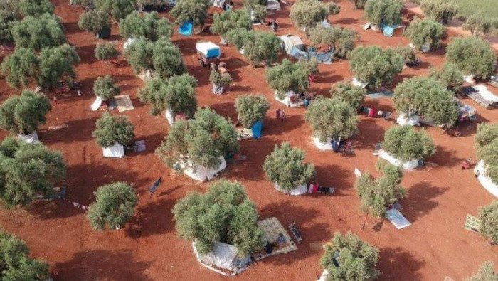 الائتلاف ينتقد فشل المجتمع الد...