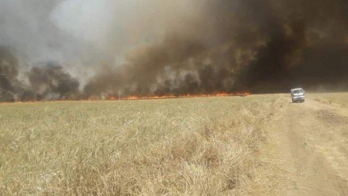 إدارة "ب ي د" تكشف حجم الحرائق...