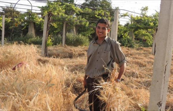 "شرعية حمص" تُجرِّم تهريب الحب...