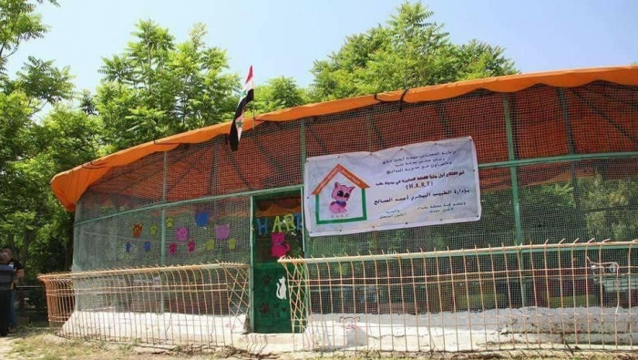 قاتل أطفال سوريا يفتتح ملجأ للقطط الشاردة في حلب