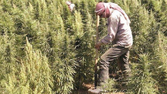 صحيفة: "قسد" نقلت أنشطتها المت...