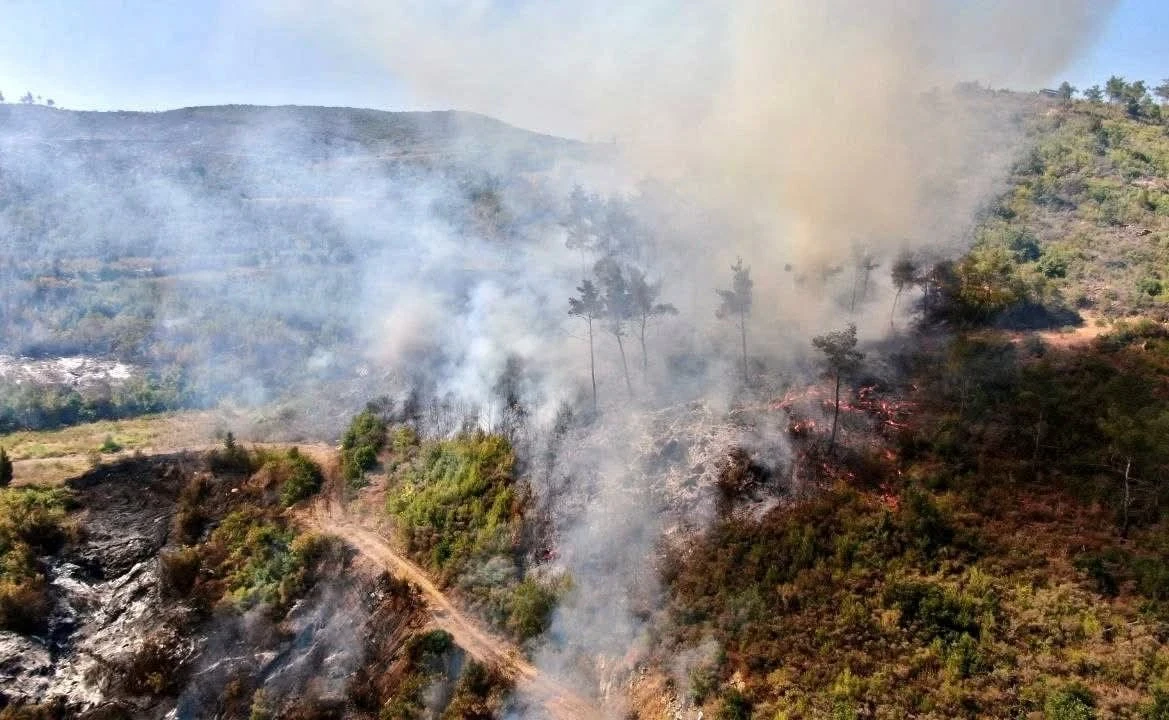 الأمم المتحدة تدعو لدعم دولي ع...