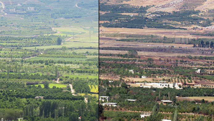 ميليشيات الأسد تواصل تجريف وإح...