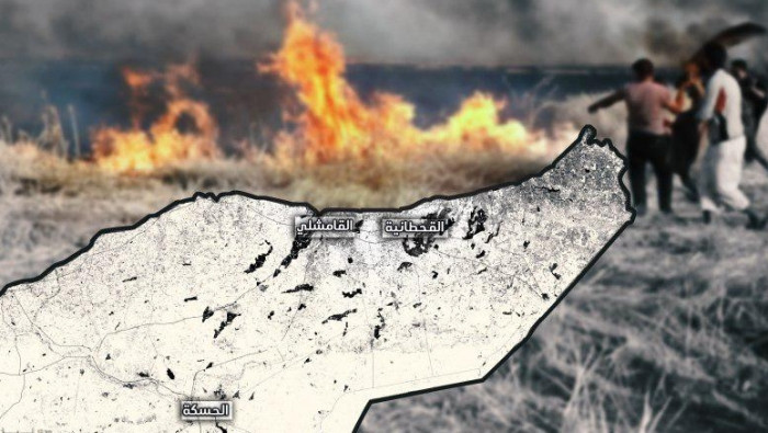 الحرائق تلتهم خمسة أضعاف مساحة...