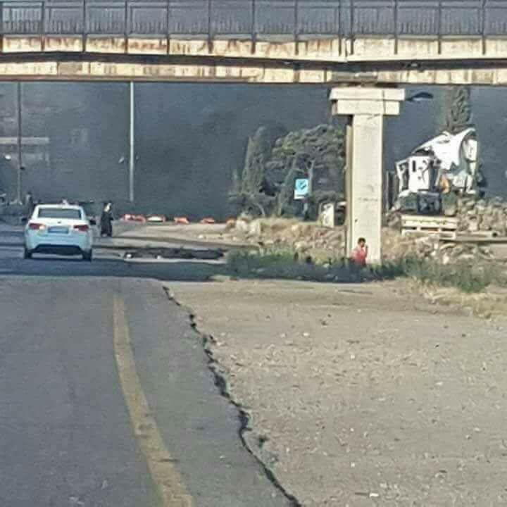 بسبب "الوعر".. شبيحة "المزرعة"...