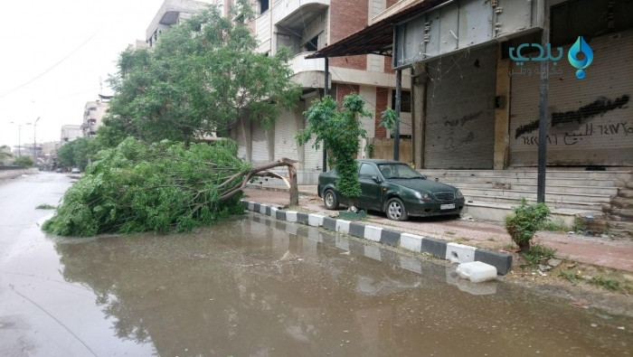 عاصفة تضرب بعض المحاصيل الزراع...