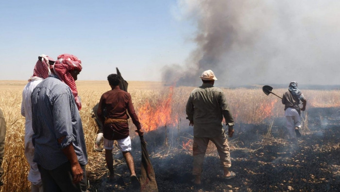 النيران تلتهم أكثر من 30 ألف د...