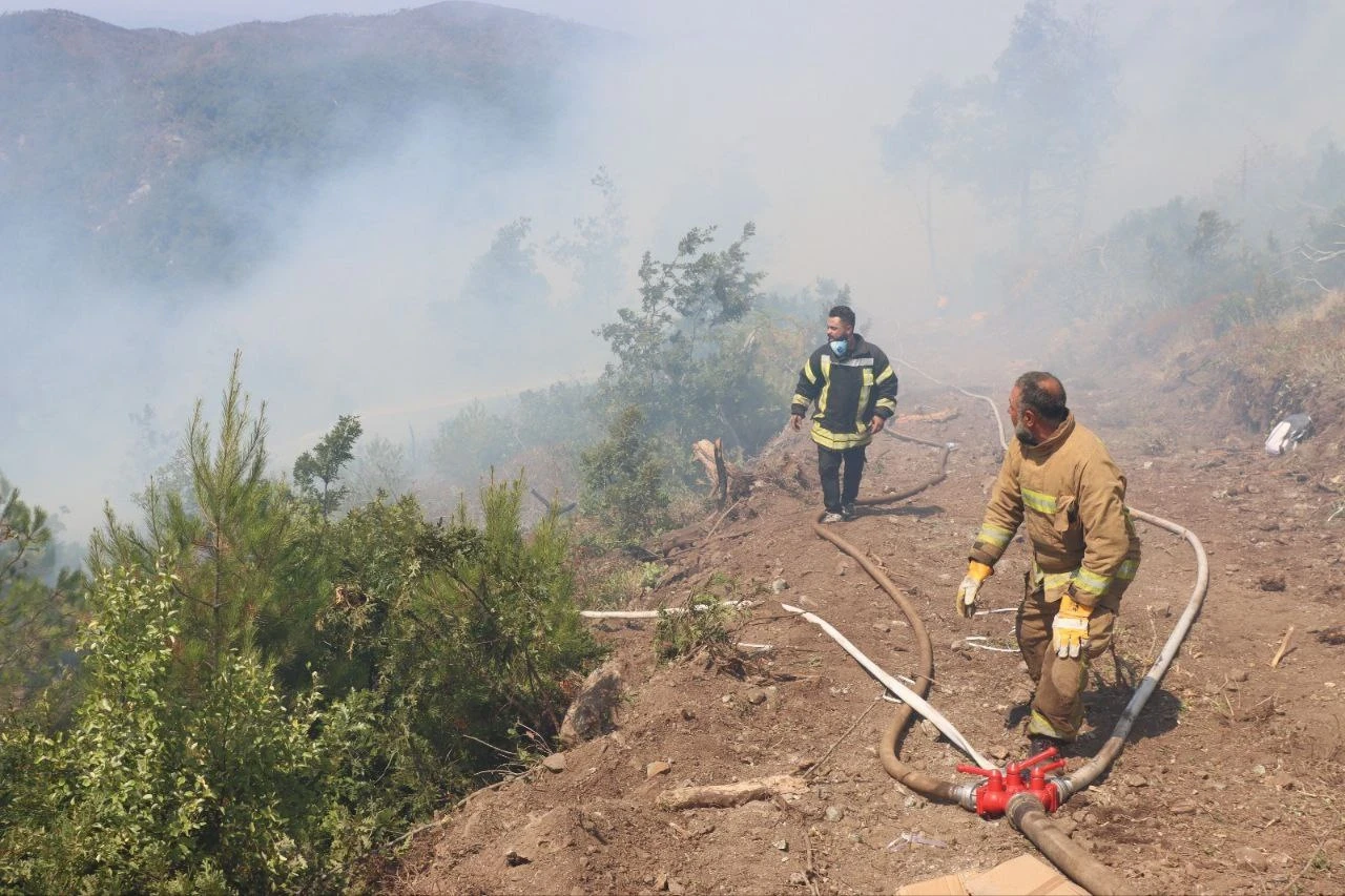 حرائق اللاذقية تواصل التهام ال...