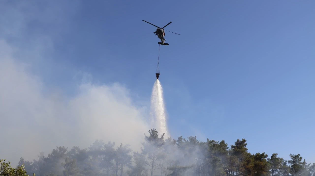 الحرائق تتجدد وتتوسع باللاذقية...