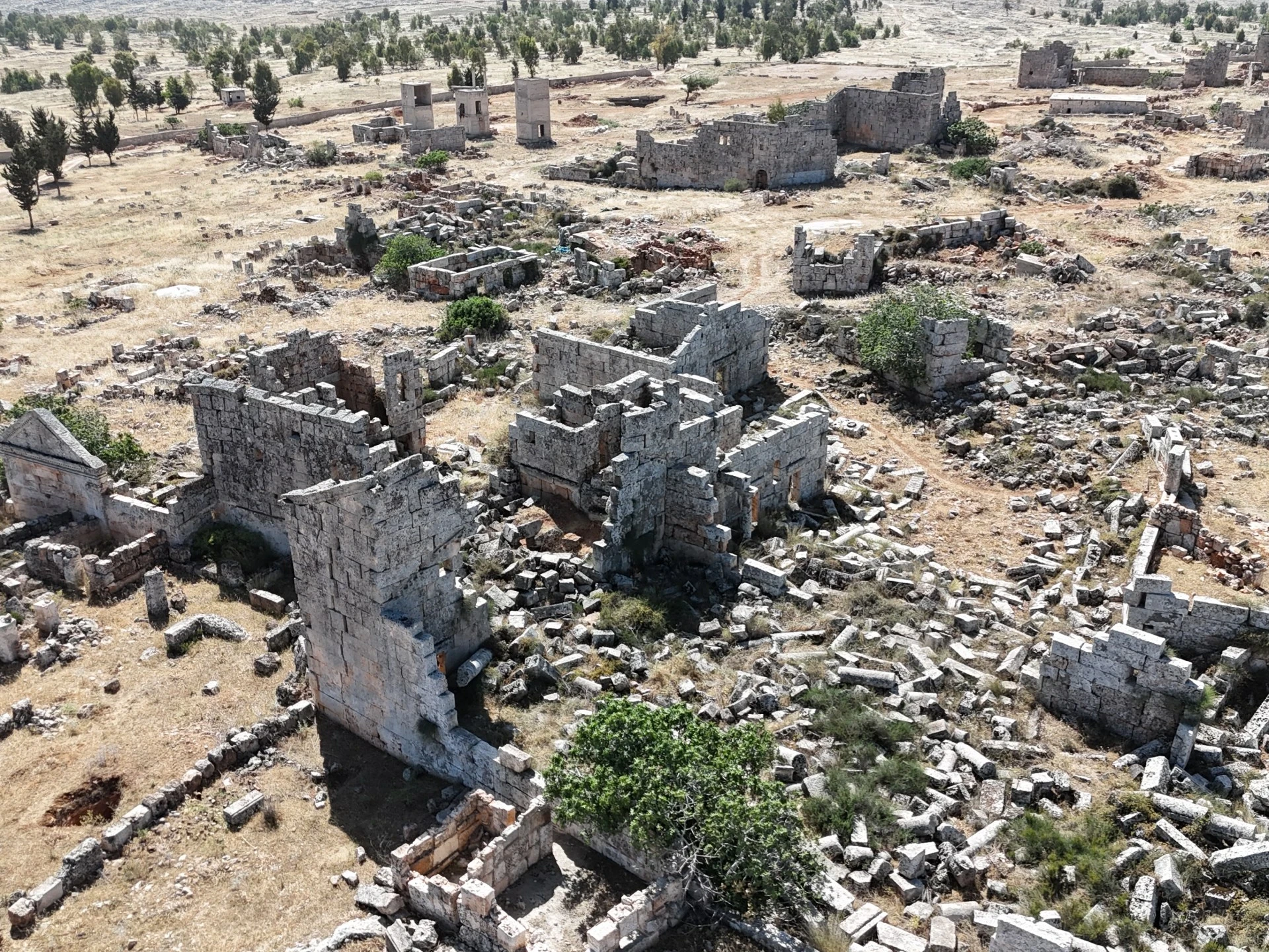 توقيف شبكات تهـ.ـريب وبيع قطع...