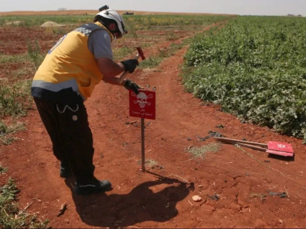 ألمانيا تواصل دعم إزالة الألغا...