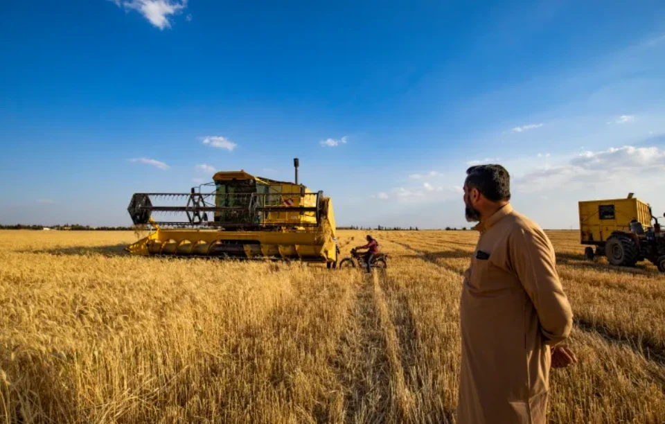 "الفاو" تتحدث عن أزمة زراعية غ...