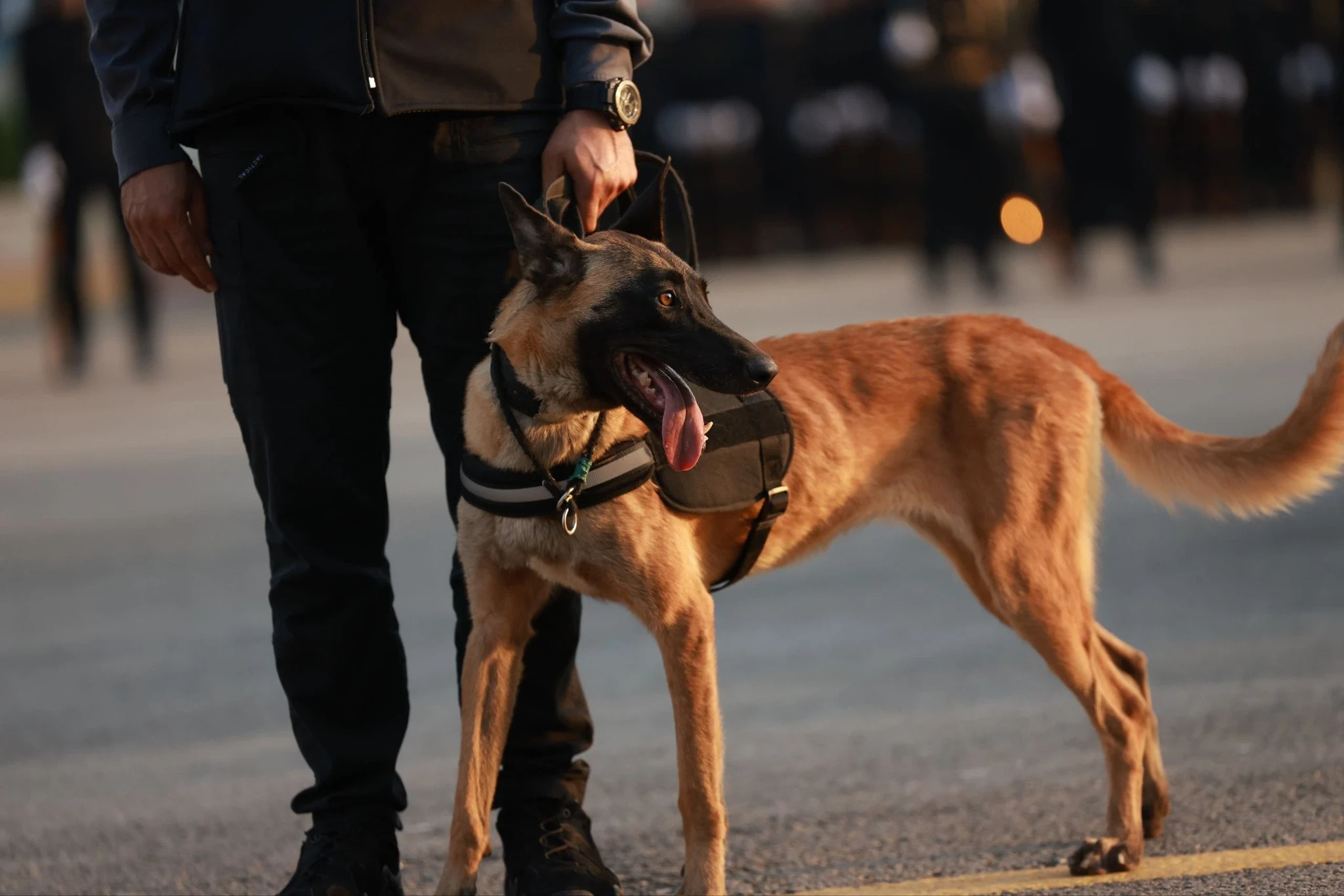 السلطات السورية تضبط شحنة "كبت...