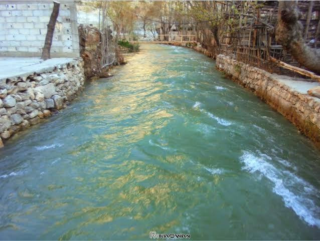 79 حالة تسمم في "وادي بردى" بر...