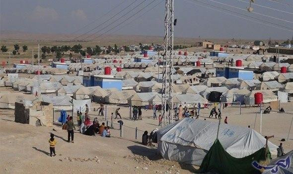 اختلفوا على القسمة.. عنصر من "...