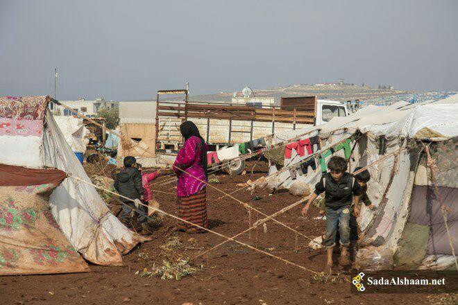 "فيروز وفنجان قهوة" صباحات الن...