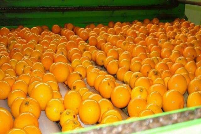 إعلام النظام يهلل لإبحار أول س...